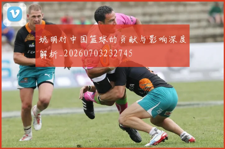 姚明对中国篮球的贡献与影响深度解析_20260703232745