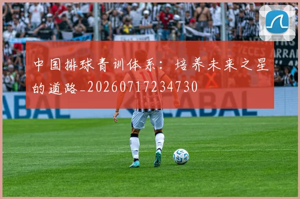 中国排球青训体系:培养未来之星的道路_20260717234730